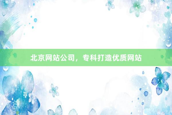 北京网站公司,专科打造优质网站